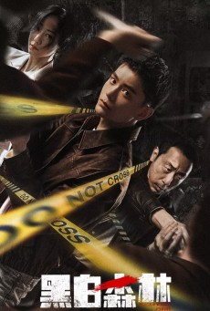 Black and White Forest ซับไทย ปมปริศนาป่าซ่อนเงื่อน EP.1-28